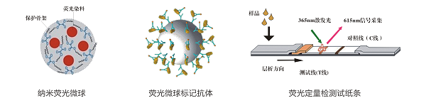 異丙威熒光定量快速檢測卡/試紙條 異丙威熒光定量快速檢測卡/試紙條