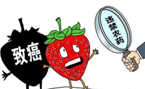 果蔬農藥殘留 果蔬農藥殘留