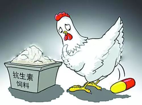 獸藥殘留 獸藥殘留